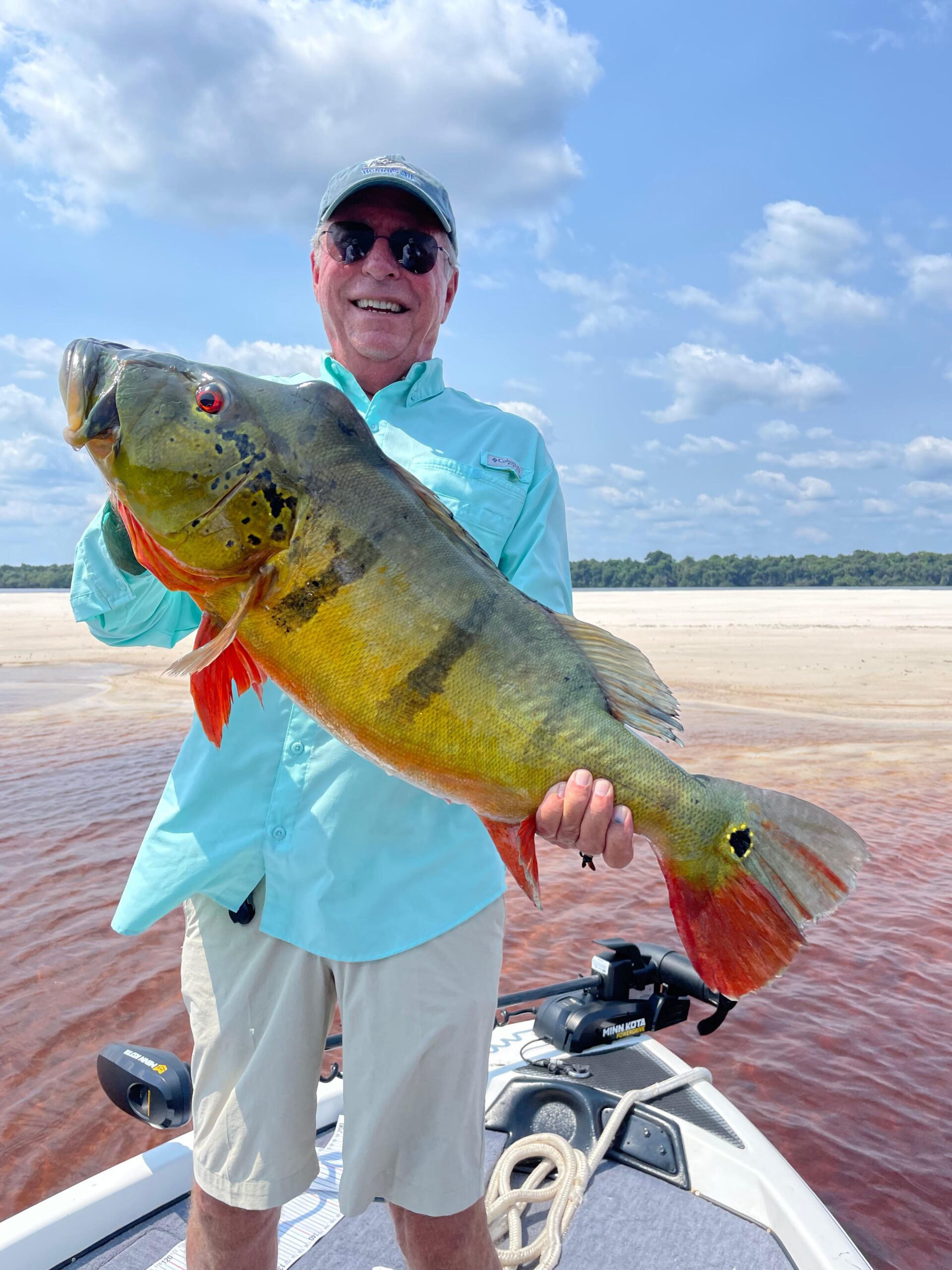 Trophy Amazon peacock bass caught on a HawgHunter hosted Brazil trip