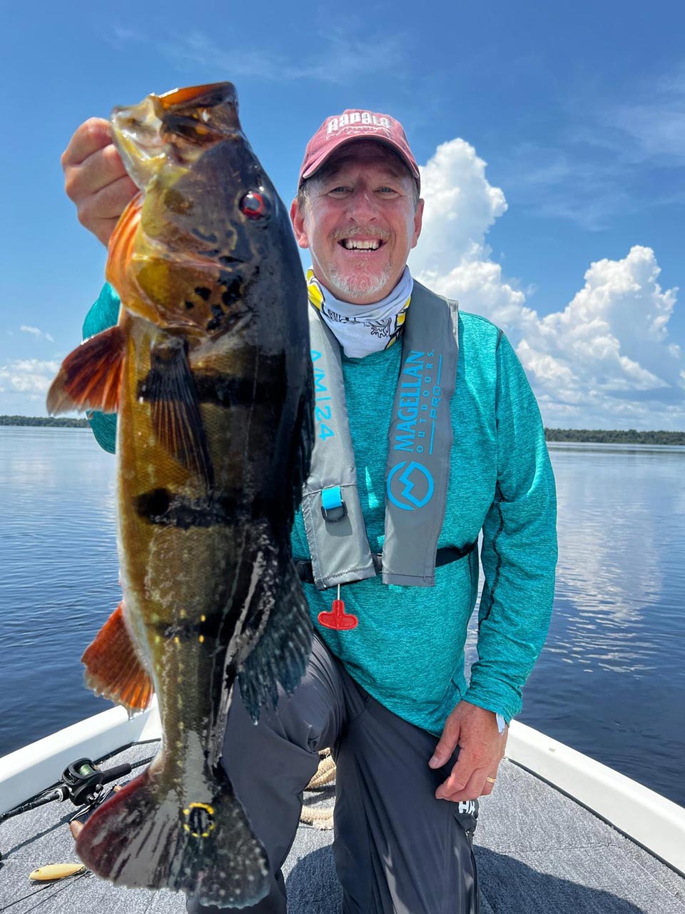 Everglades peacock bass and largemouth fishing with HawgHunter Guide Service