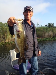 florida everglades bass, everglades guide, largemouth florida bass