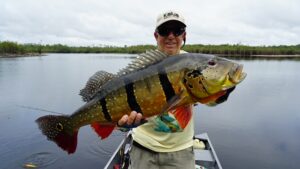 #amazonpeacockbass, #amazonpeacockbasstrip, #fishingtriptotheamazon,