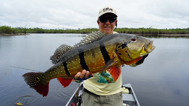 #amazonpeacockbass, #amazonpeacockbasstrip, #fishingtriptotheamazon,