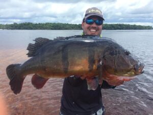 #amazonpeacockbass
