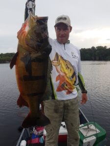 #amazonpeacockbass