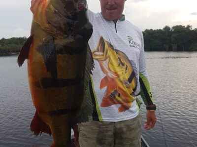 #amazonpeacockbass