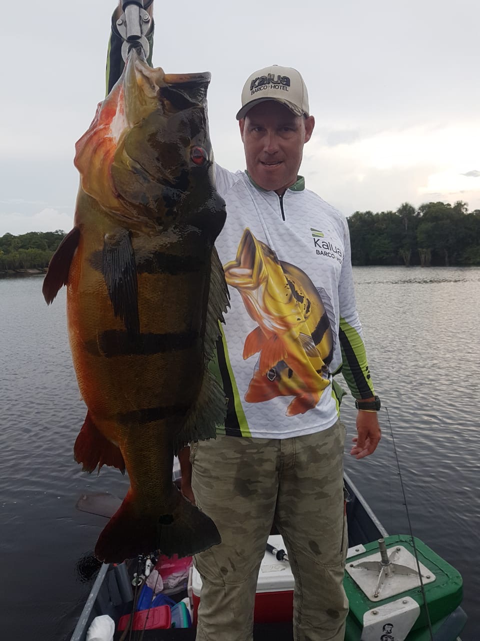 #amazonpeacockbass