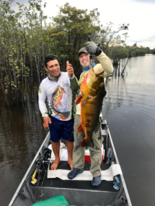 #amazonguide,#amazonpeacockbass,#amazonpeacockbasstrip