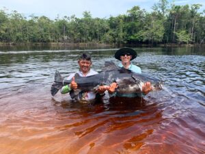 #amazonpeacockbass