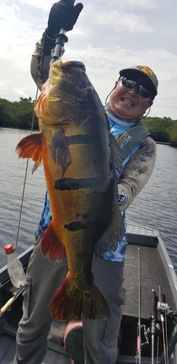 #amazonpeacockbass,#fishingforpeacockbas,#peacockbass